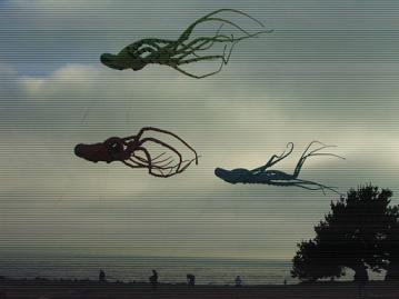 flying octopi